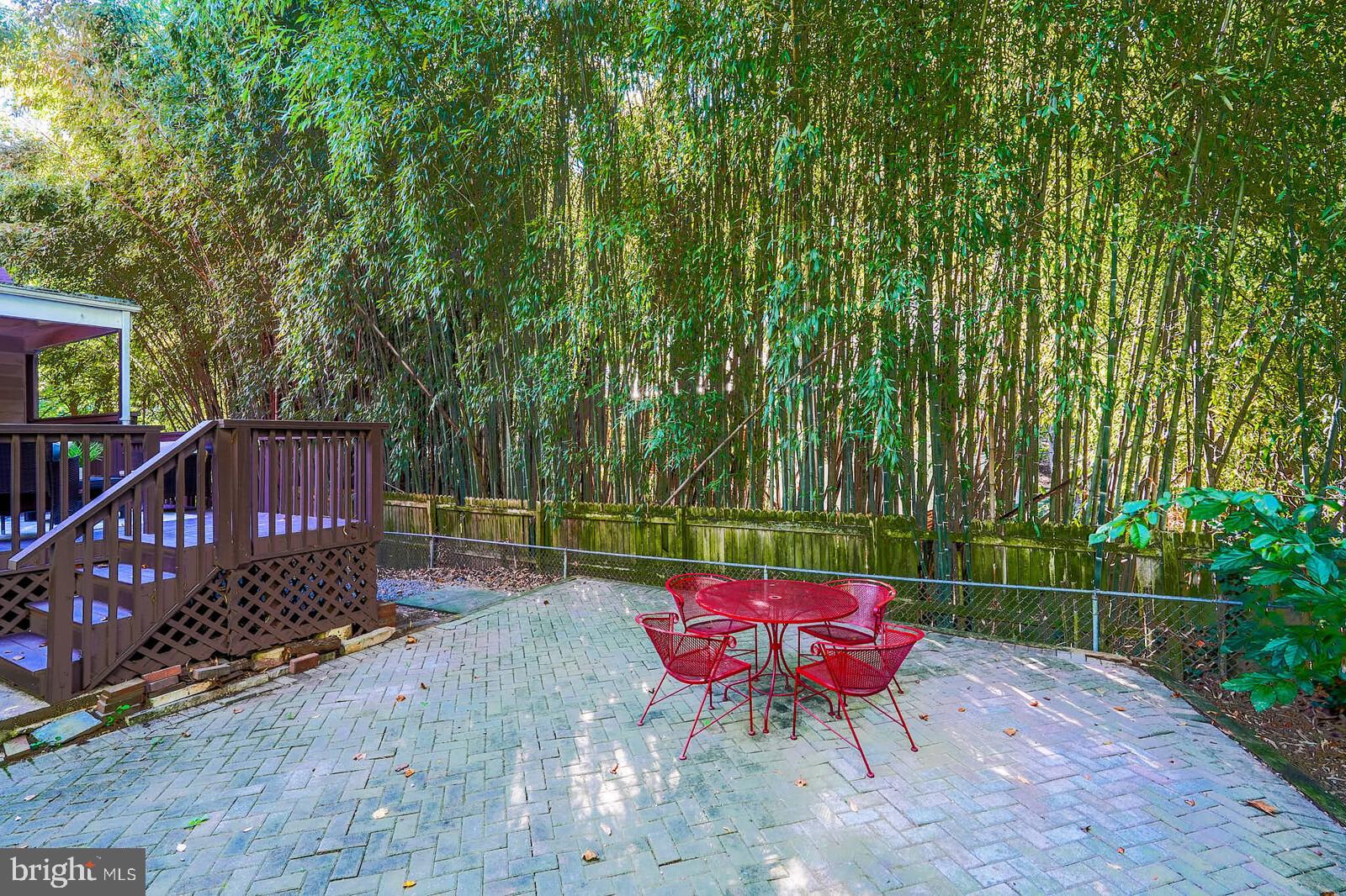 302 Windsor Street Silver Spring, MD 20910 - Photo 49 of 56 Gallery Image 49