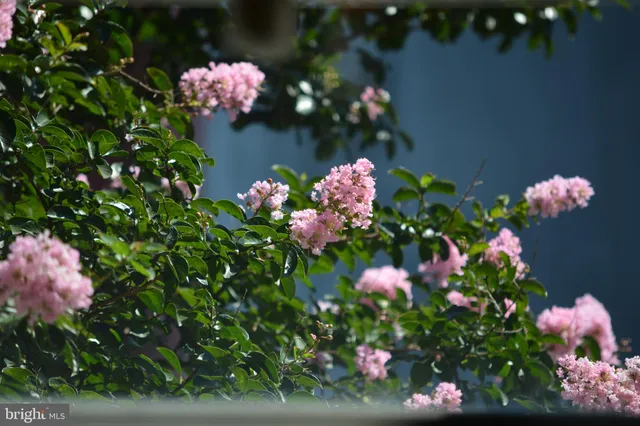 a pink vase of flowers