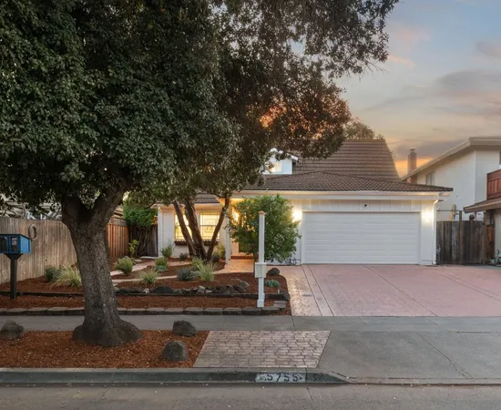 a view of a yard with an tree and plants