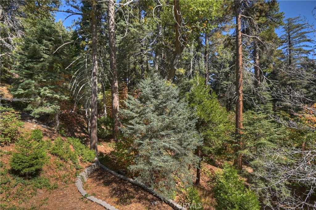 863 Oak Road Lake Arrowhead, CA 92385 - Photo 6 of 42 a view of a tree with a tree