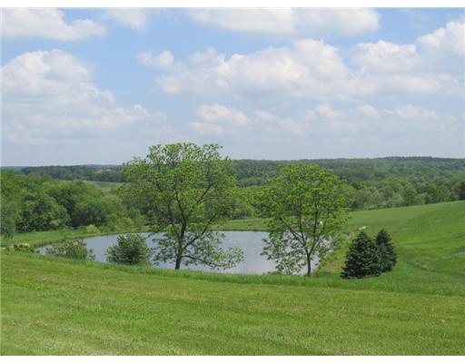 137 Harris Road Butler, PA 16002 - Photo 2 of 18 Land/Lot. Beautiful views from the patio! See the mallards fly onto the large spring fed pond from this vantage point