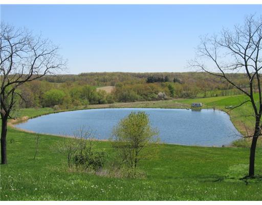 137 Harris Road Butler, PA 16002 - Photo 11 of 18 Waterfront/Dock/Pier. Closer view of the pond.