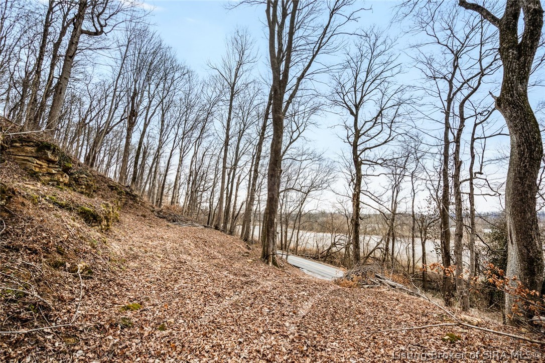 0 Rose Island Road Prospect, KY 40059 - Photo 6 of 28