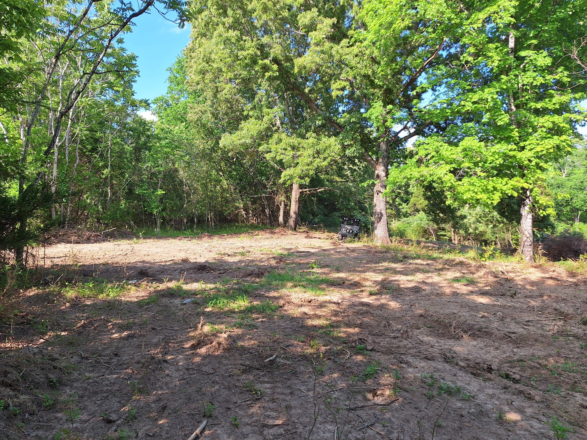 1 Bone Cave Road Rock Island, TN 38581 - Photo 4 of 9 Gallery Image 4