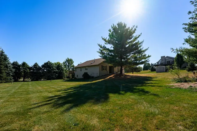a view of a grassy field with an trees