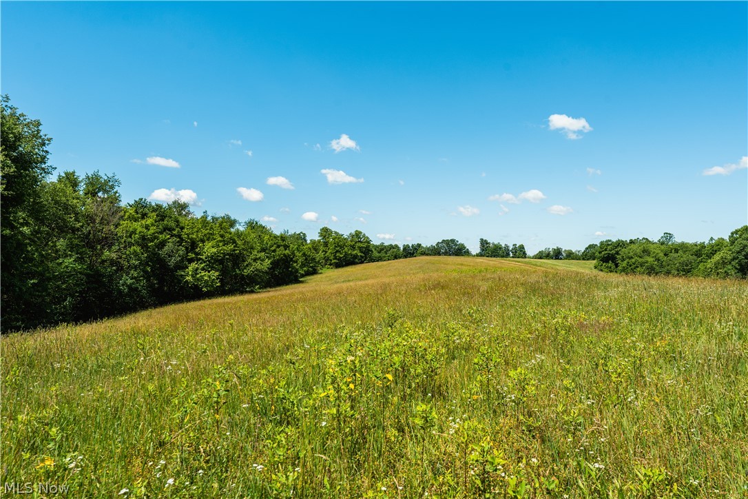 Norris Road Tippecanoe, OH 44699 - Photo 10 of 32