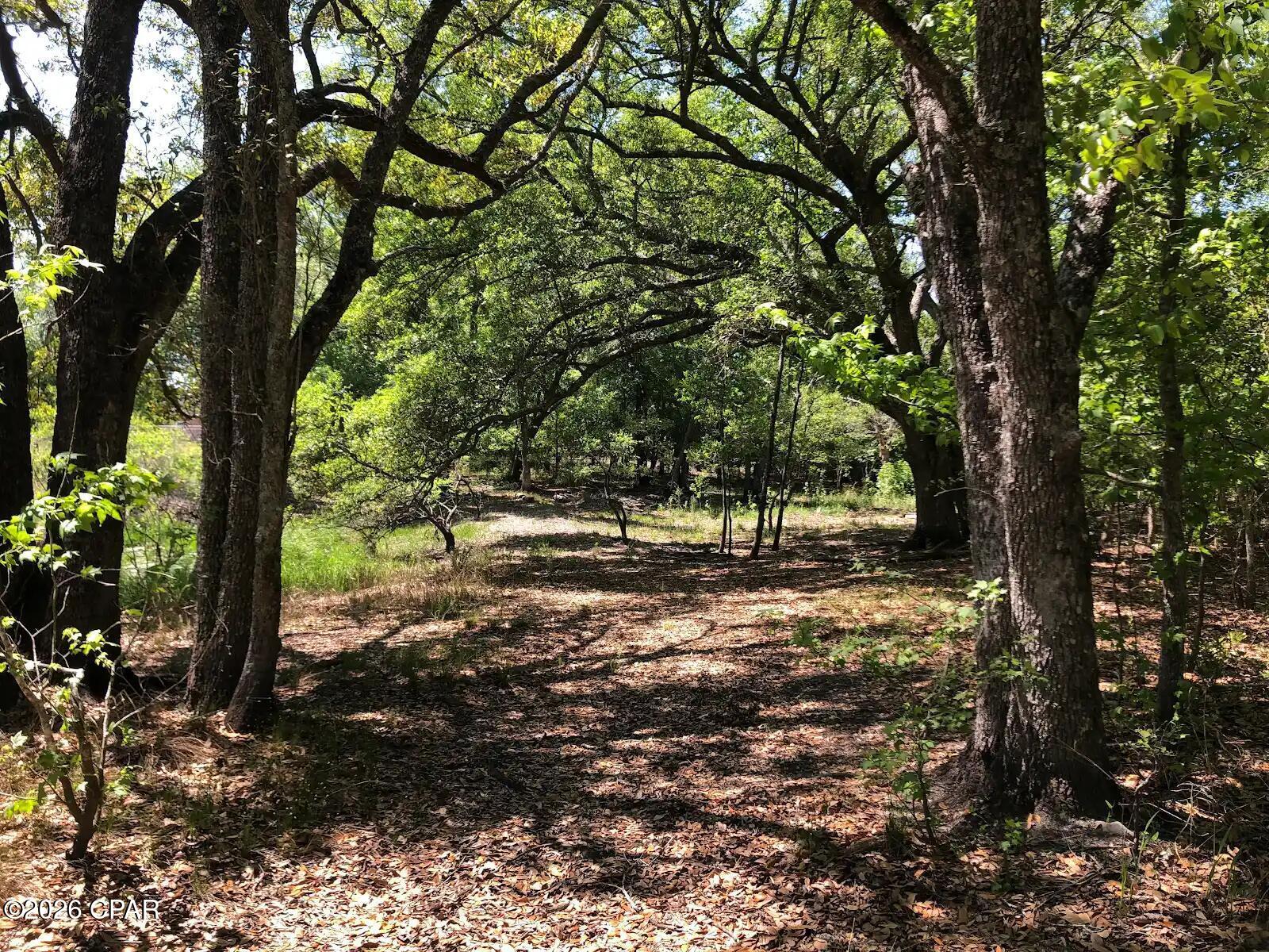0 Little Zion Road Sneads, FL 32460 - Photo 2 of 13