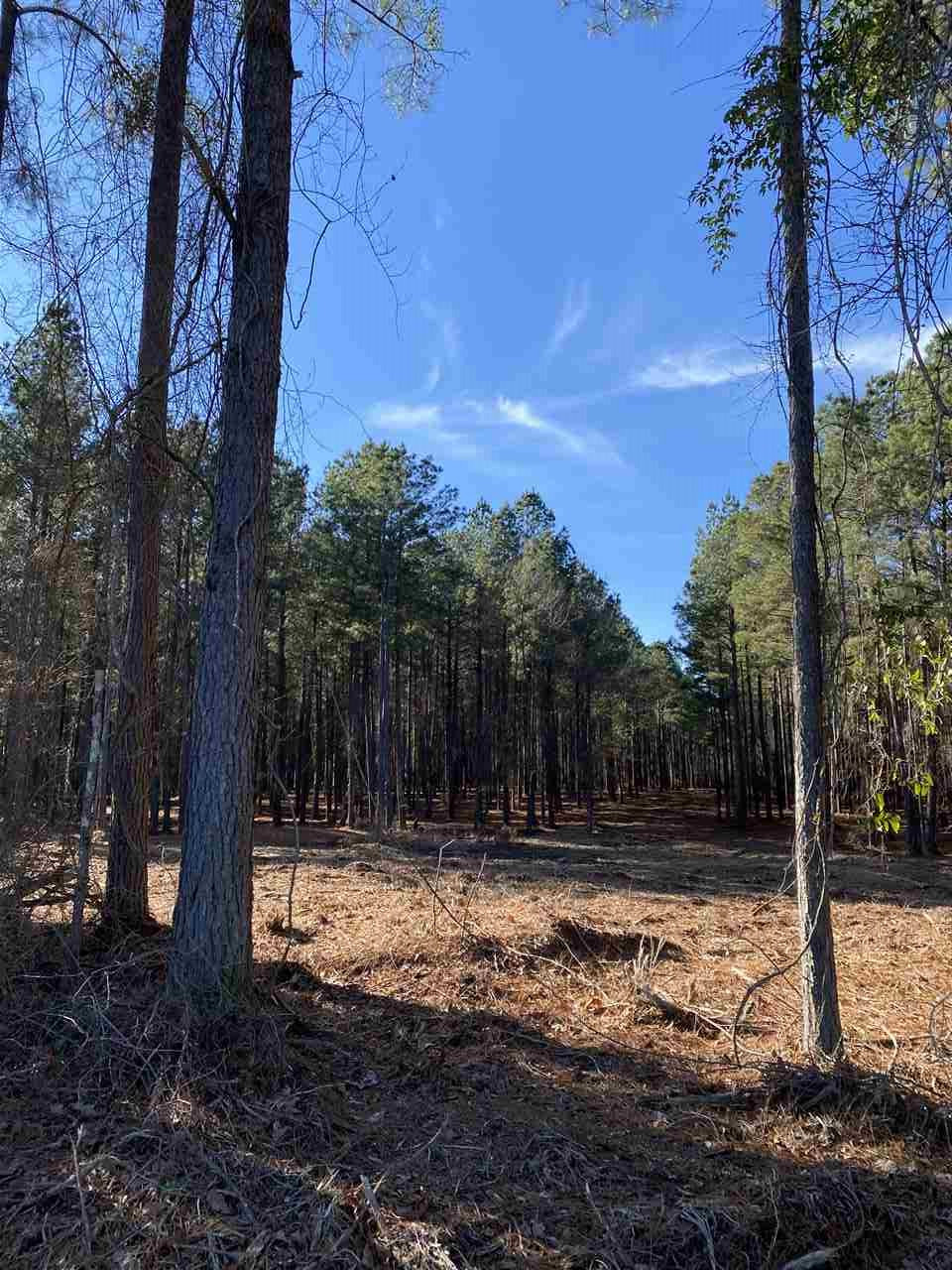 579 Stump Ridge Road, Unit 7 Brandon, MS 39047 - Photo 4 of 5 Photo 4