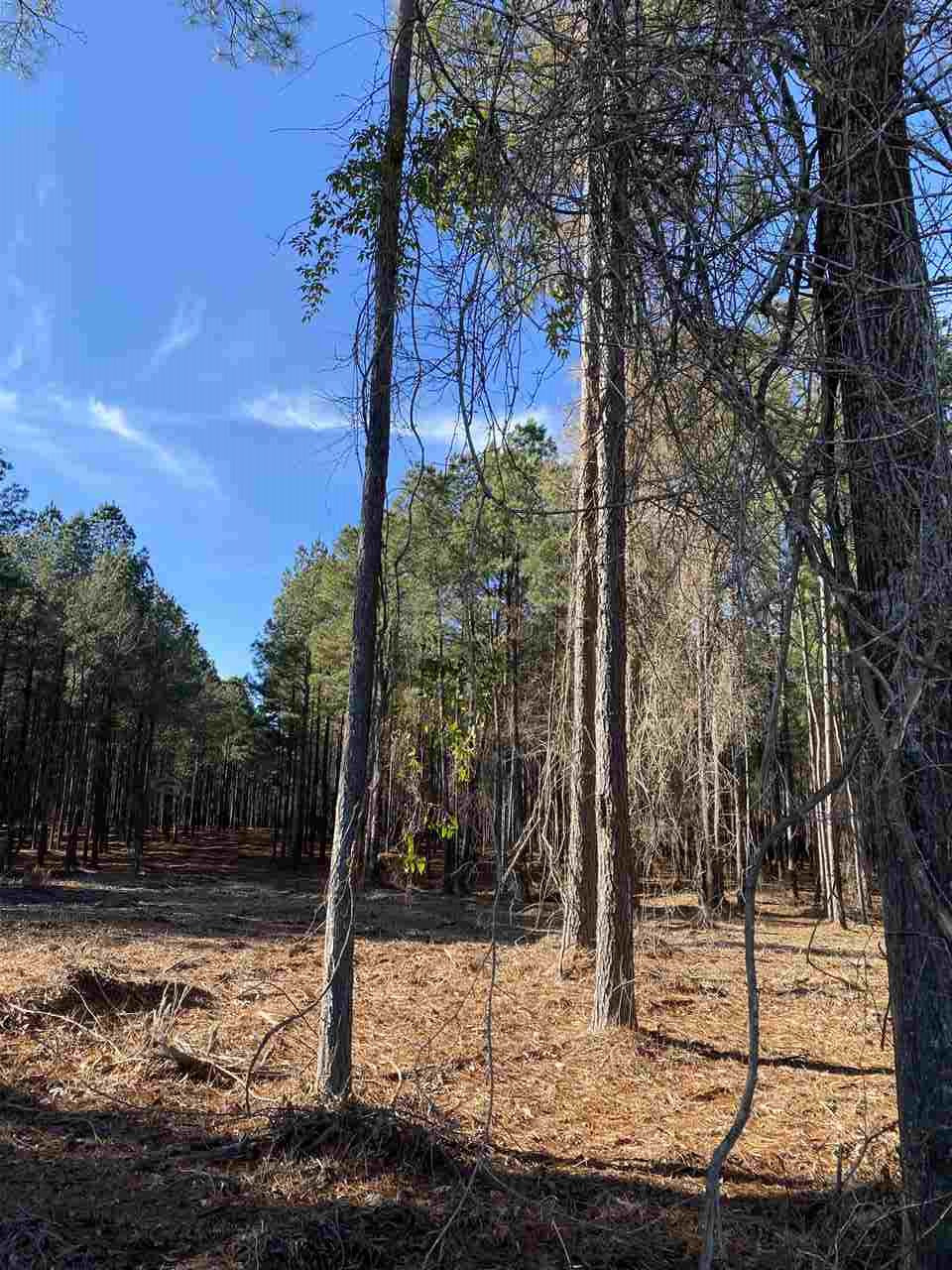 579 Stump Ridge Road, Unit 7 Brandon, MS 39047 - Photo 5 of 5 Photo 5