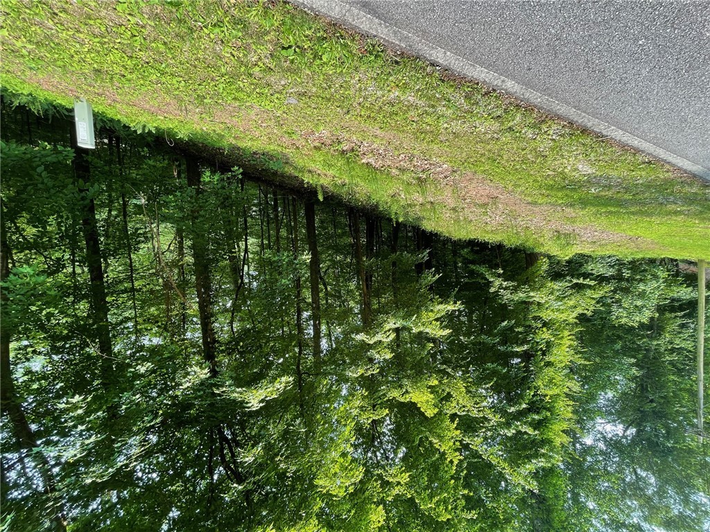 Lot 1682 Point Road Westminster, SC 29693 - Photo 13 of 30