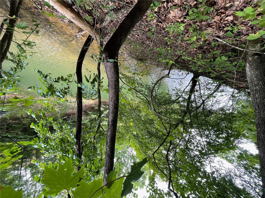 Lot 1682 Point Road Westminster, SC 29693 - Photo 3 of 30