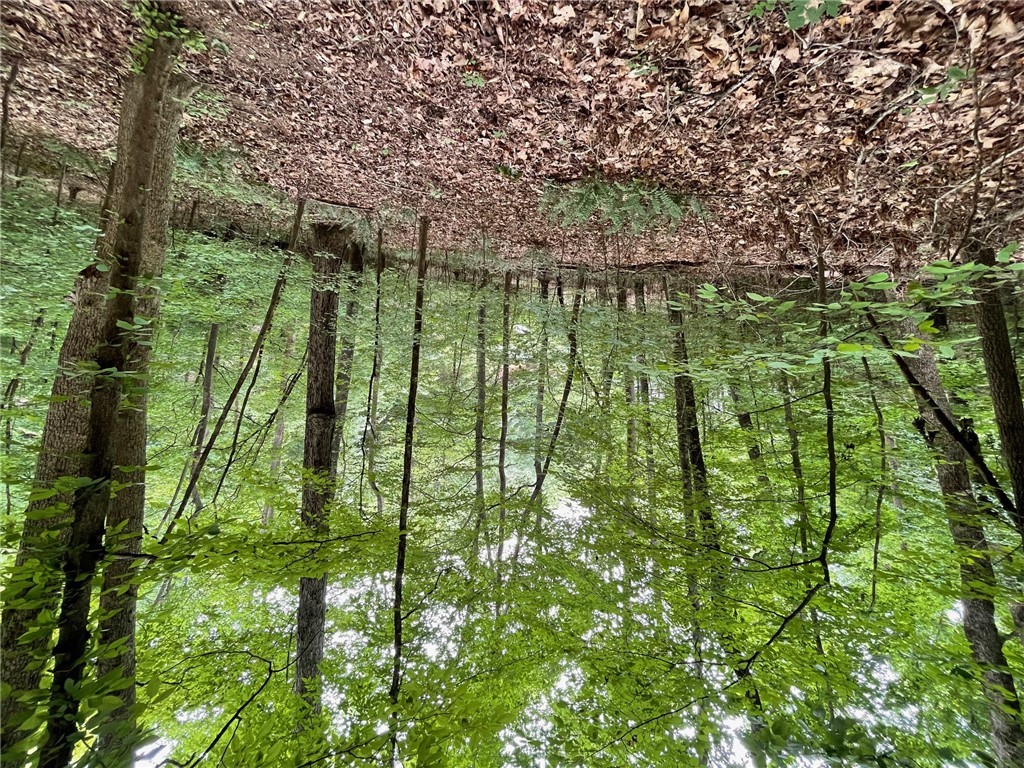 Lot 1682 Point Road Westminster, SC 29693 - Photo 8 of 30