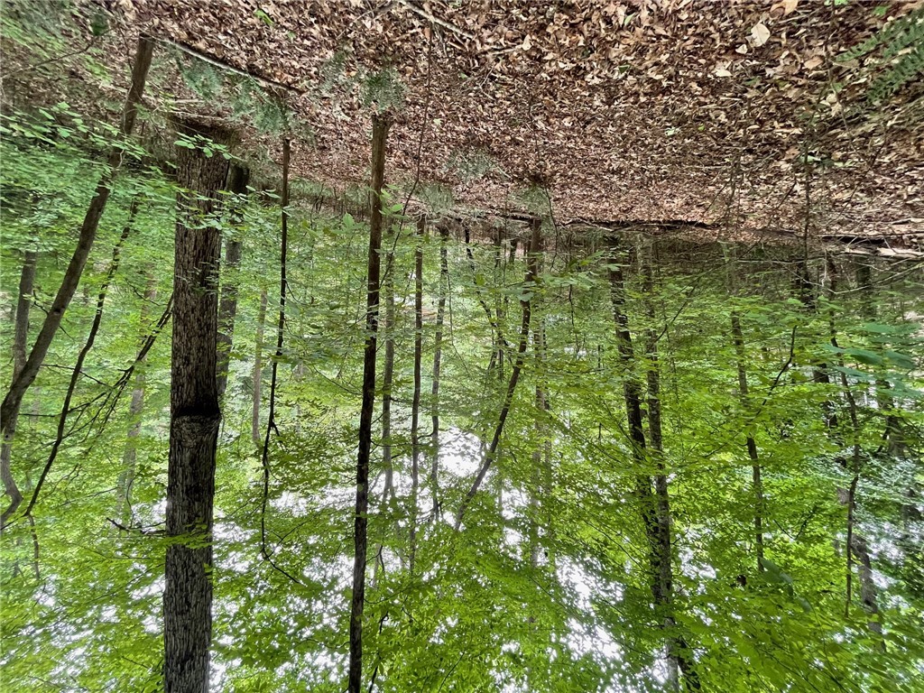 Lot 1682 Point Road Westminster, SC 29693 - Photo 9 of 30