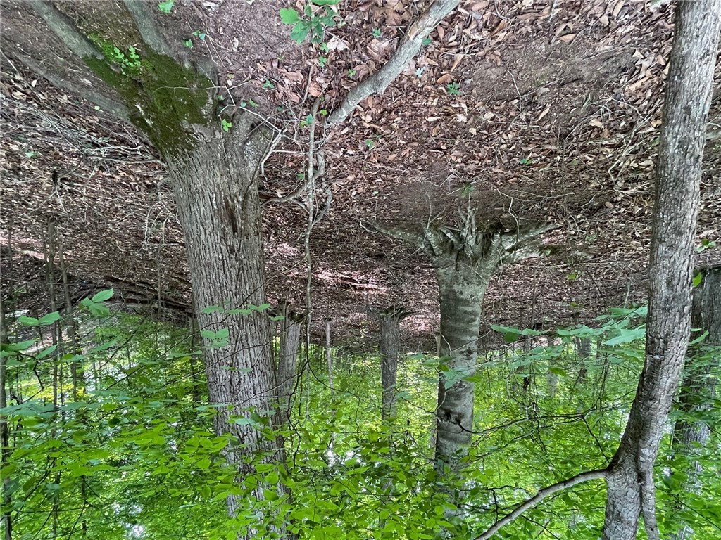 Lot 1682 Point Road Westminster, SC 29693 - Photo 10 of 30