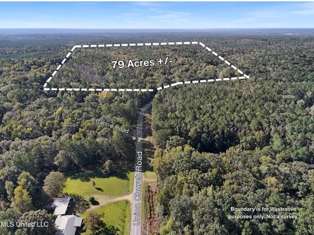 $400,000 | Union Church Road, Meadville, MS 39653