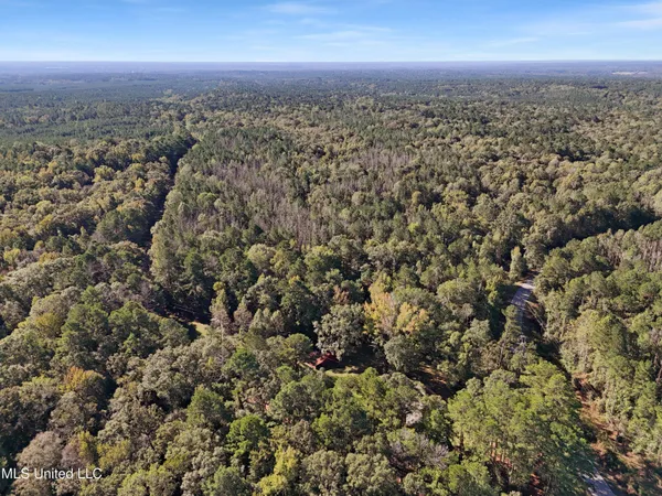 $400,000 | Union Church Road, Meadville, MS 39653