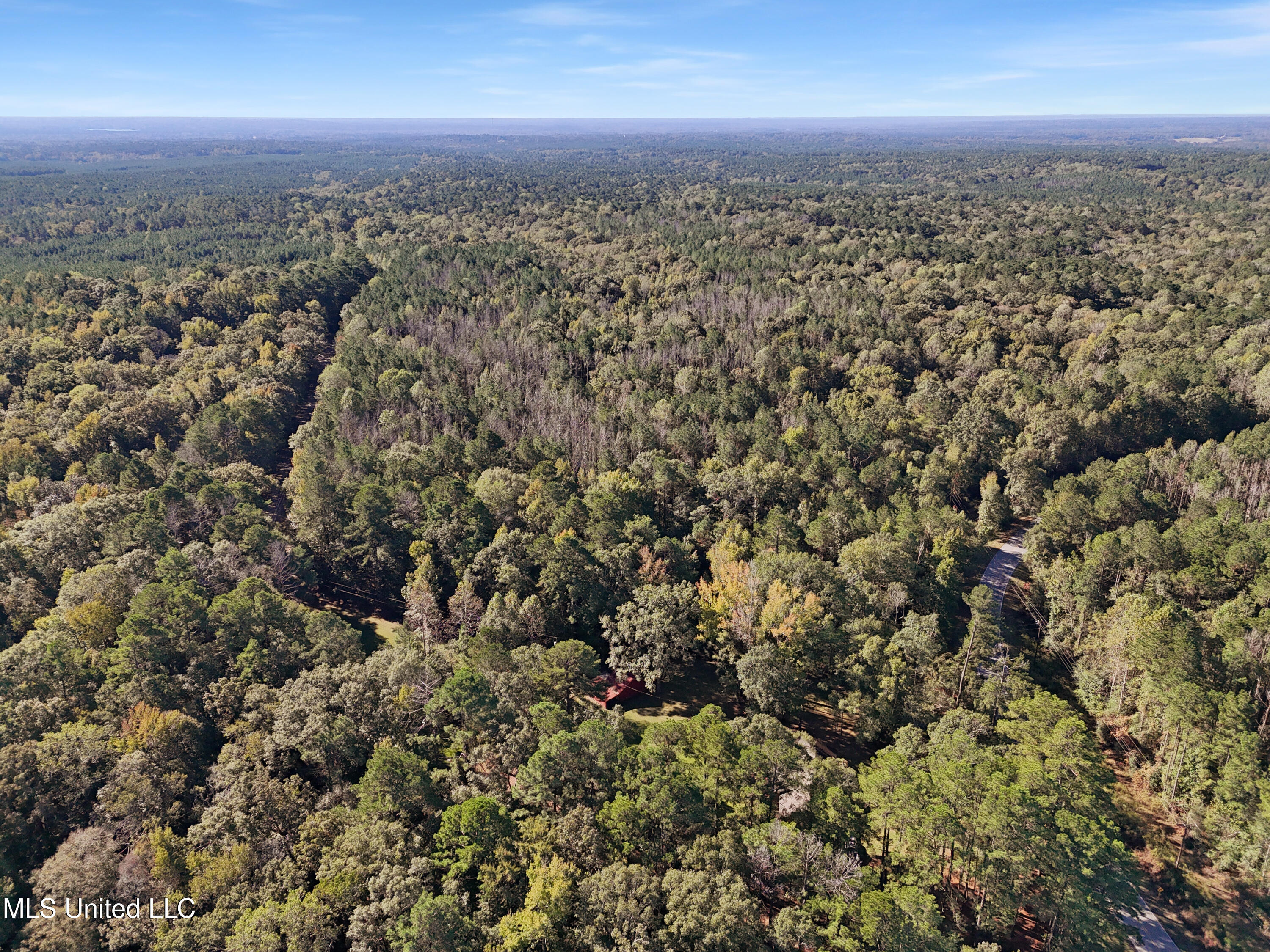 Union Church Road Meadville, MS 39653 - Photo 4 of 14 28-mls-24