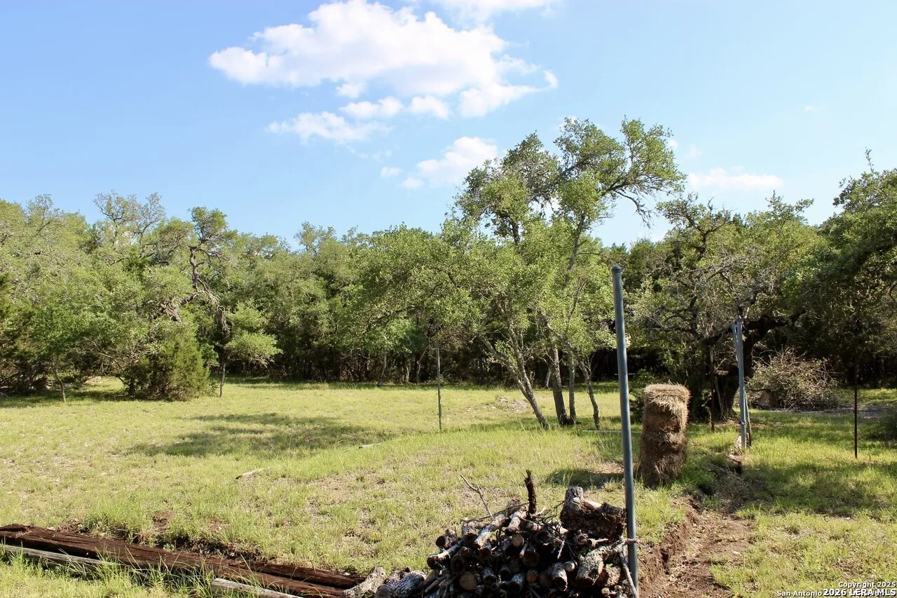 197 Rosenberry Bulverde, TX 78163 - Photo 4 of 11