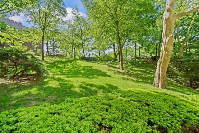 a view of outdoor space with deck and garden