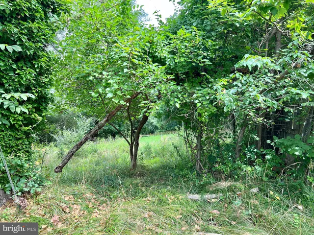 $295,000 | 15948 Union Chapel Road, Woodbine, MD 21797