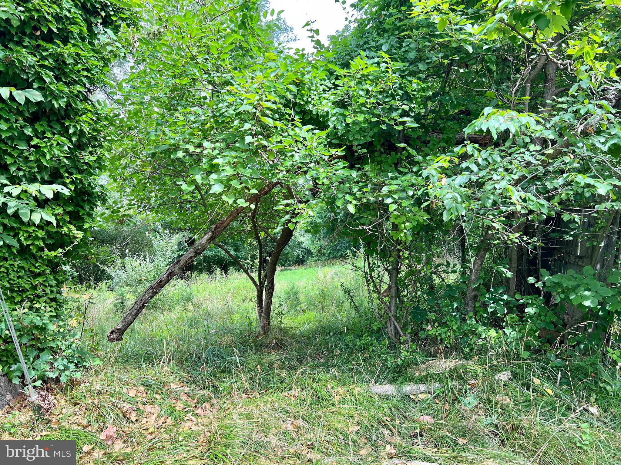 15948 Union Chapel Road Woodbine, MD 21797 - Photo 15 of 19 a view of a yard