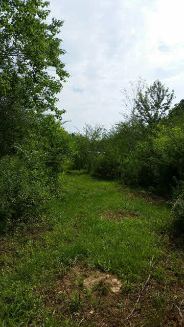 14143 Baptist Ball Park Road Stapleton, AL 36578 - Photo 20 of 21