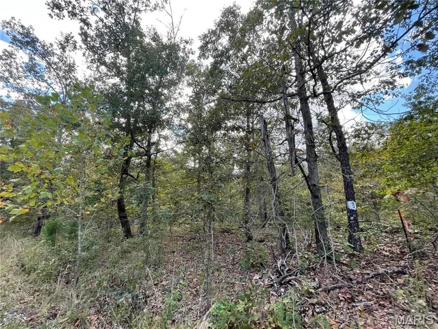 $29,900 | 15 Woodland Heights West, Poplar Bluff, MO 63901