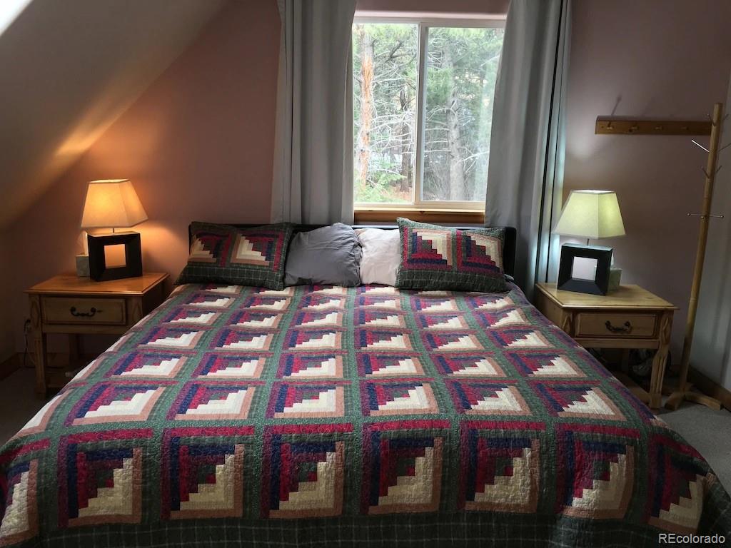 137 Fall River Road Idaho Springs, CO 80452 - Photo 11 of 20