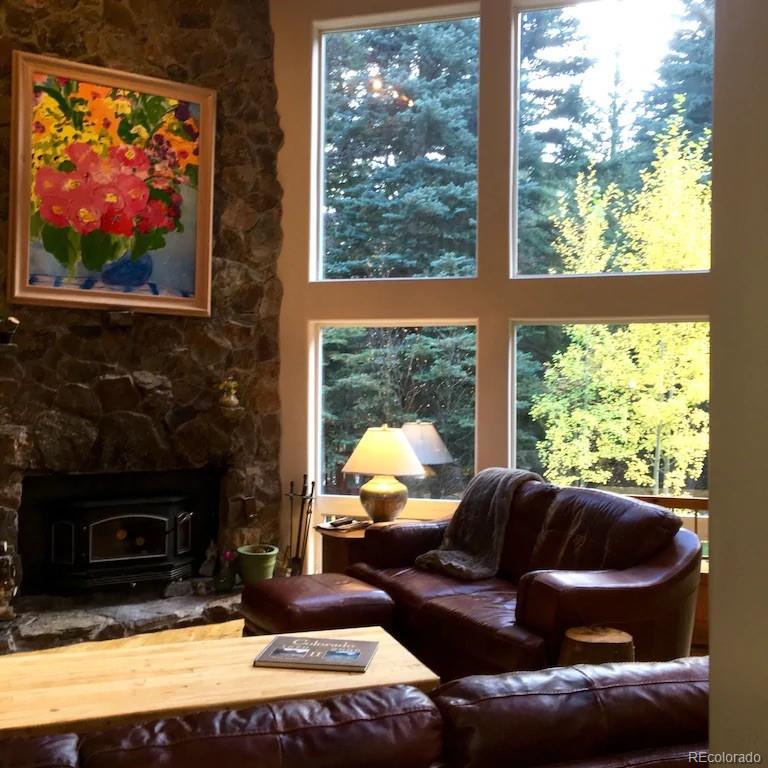 137 Fall River Road Idaho Springs, CO 80452 - Photo 12 of 20