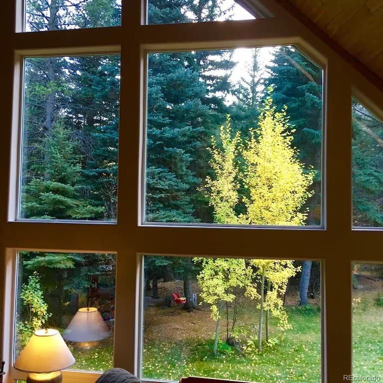 137 Fall River Road Idaho Springs, CO 80452 - Photo 13 of 20