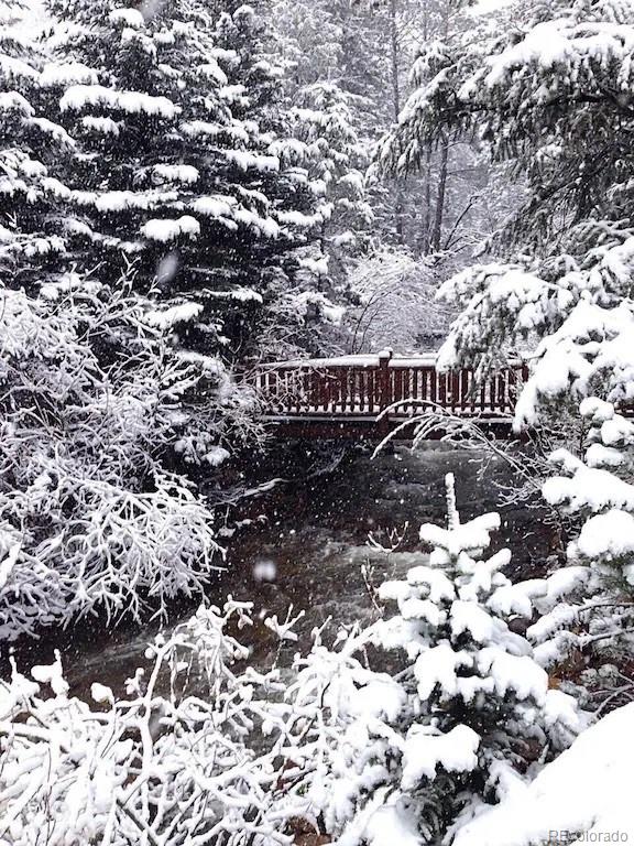 137 Fall River Road Idaho Springs, CO 80452 - Photo 14 of 20