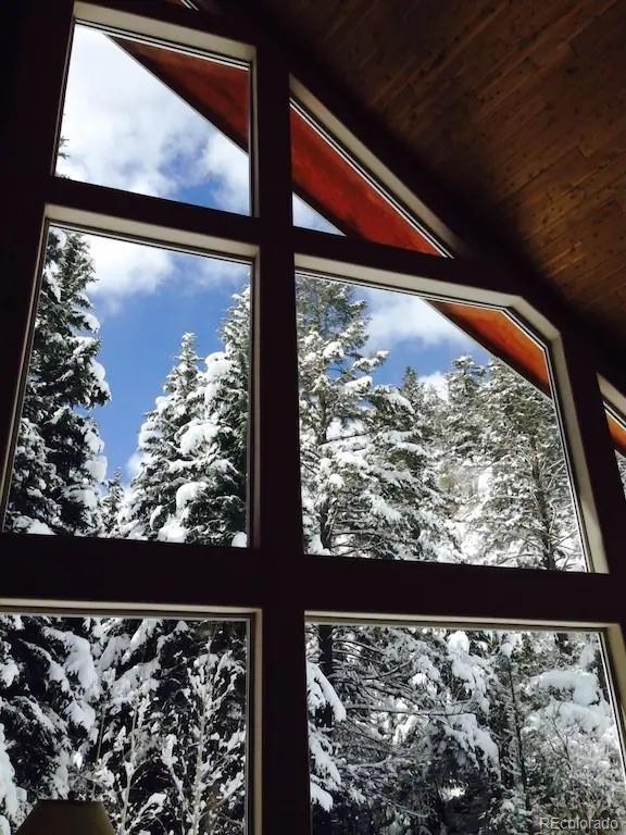 137 Fall River Road Idaho Springs, CO 80452 - Photo 20 of 20