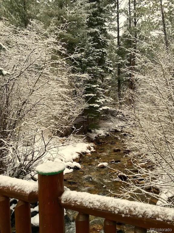137 Fall River Road Idaho Springs, CO 80452 - Photo 4 of 20