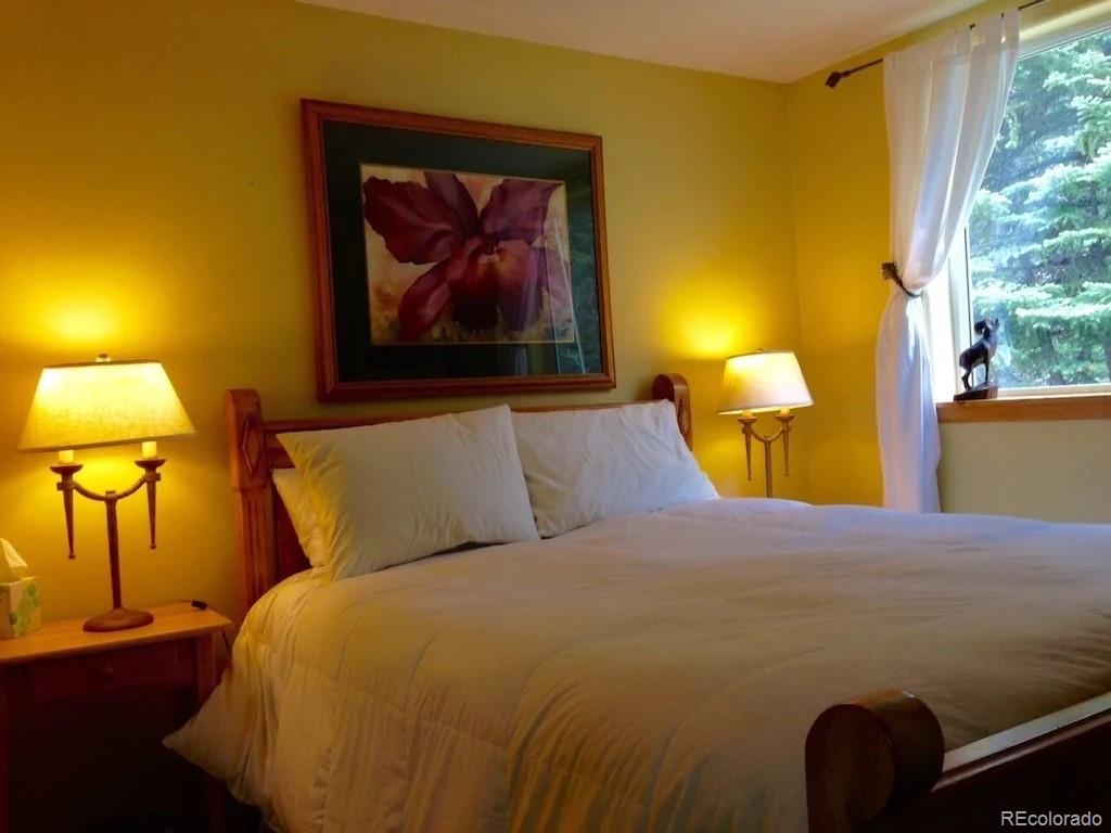 137 Fall River Road Idaho Springs, CO 80452 - Photo 6 of 20