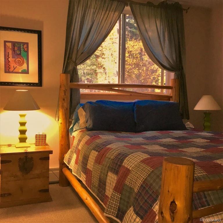 137 Fall River Road Idaho Springs, CO 80452 - Photo 9 of 20