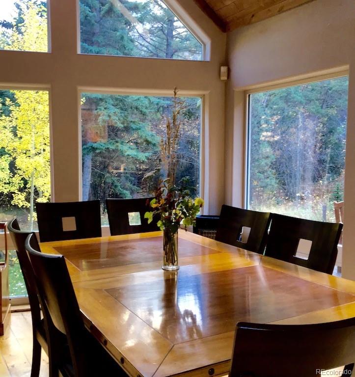 137 Fall River Road Idaho Springs, CO 80452 - Photo 10 of 20