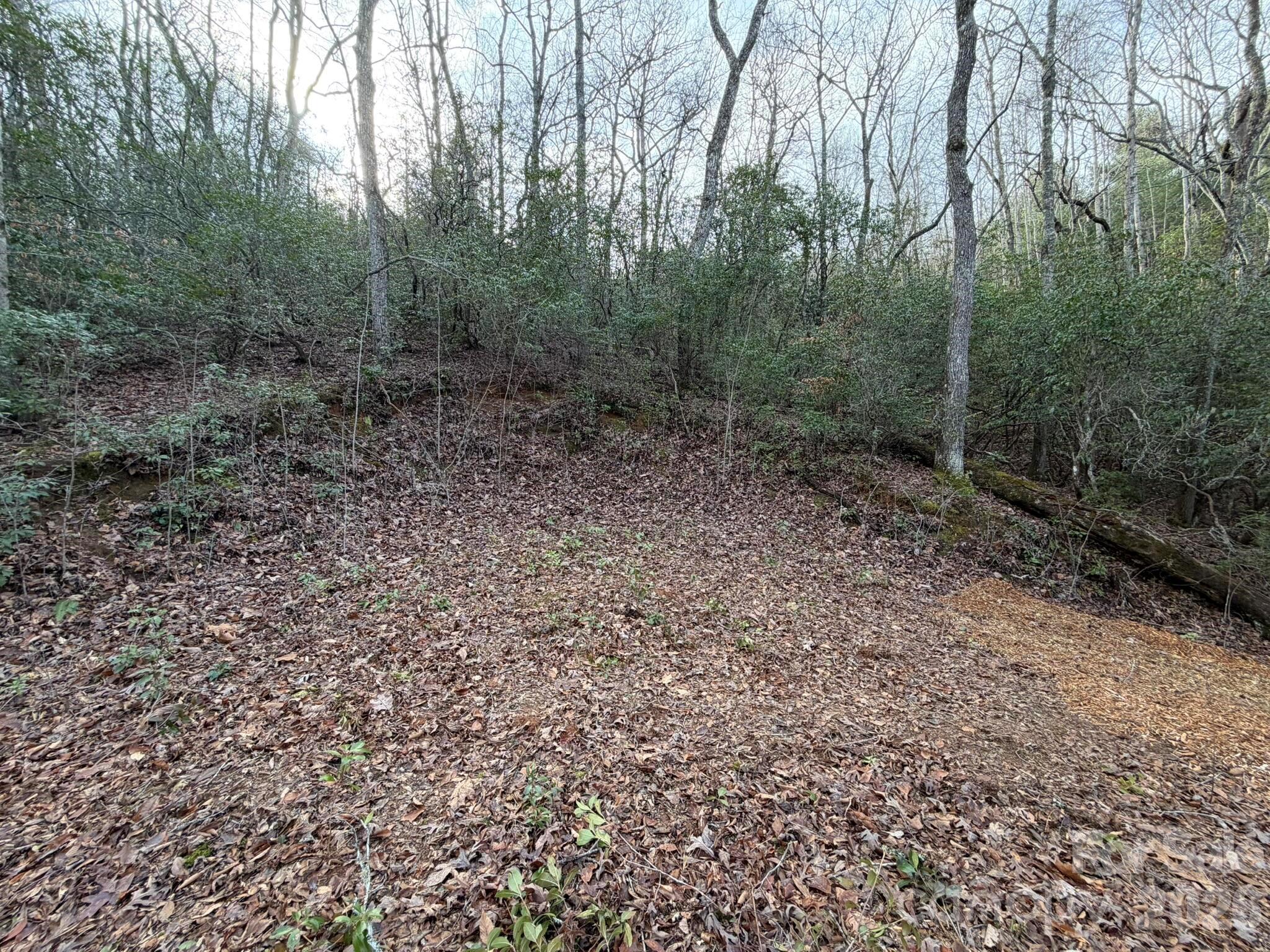 70 Crescent Ridge Drive, Unit NONE Franklin, NC 28734 - Photo 11 of 13