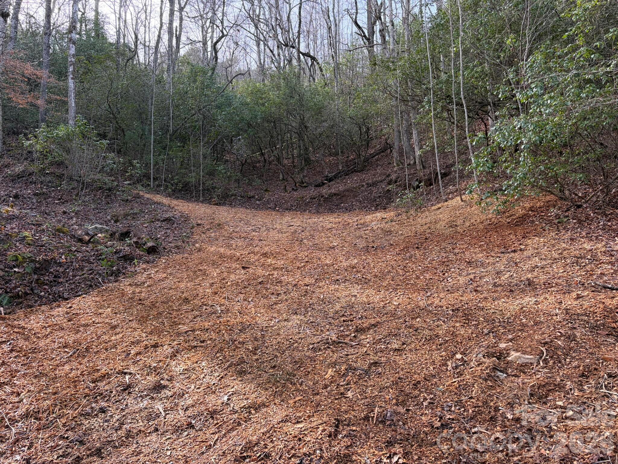 70 Crescent Ridge Drive, Unit NONE Franklin, NC 28734 - Photo 3 of 13