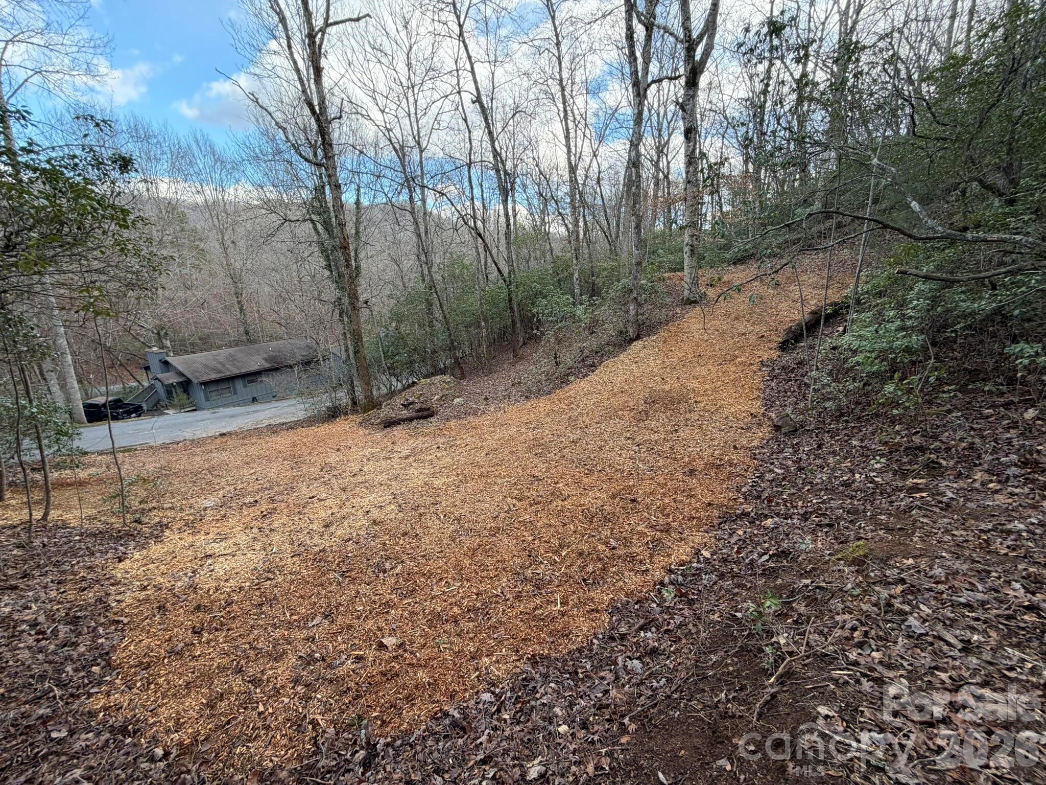 70 Crescent Ridge Drive, Unit NONE Franklin, NC 28734 - Photo 5 of 13