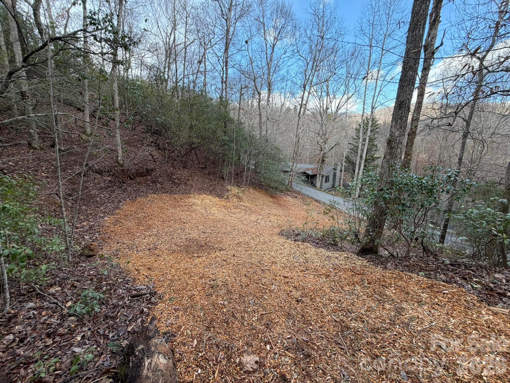 70 Crescent Ridge Drive, Unit NONE Franklin, NC 28734 - Photo 7 of 13