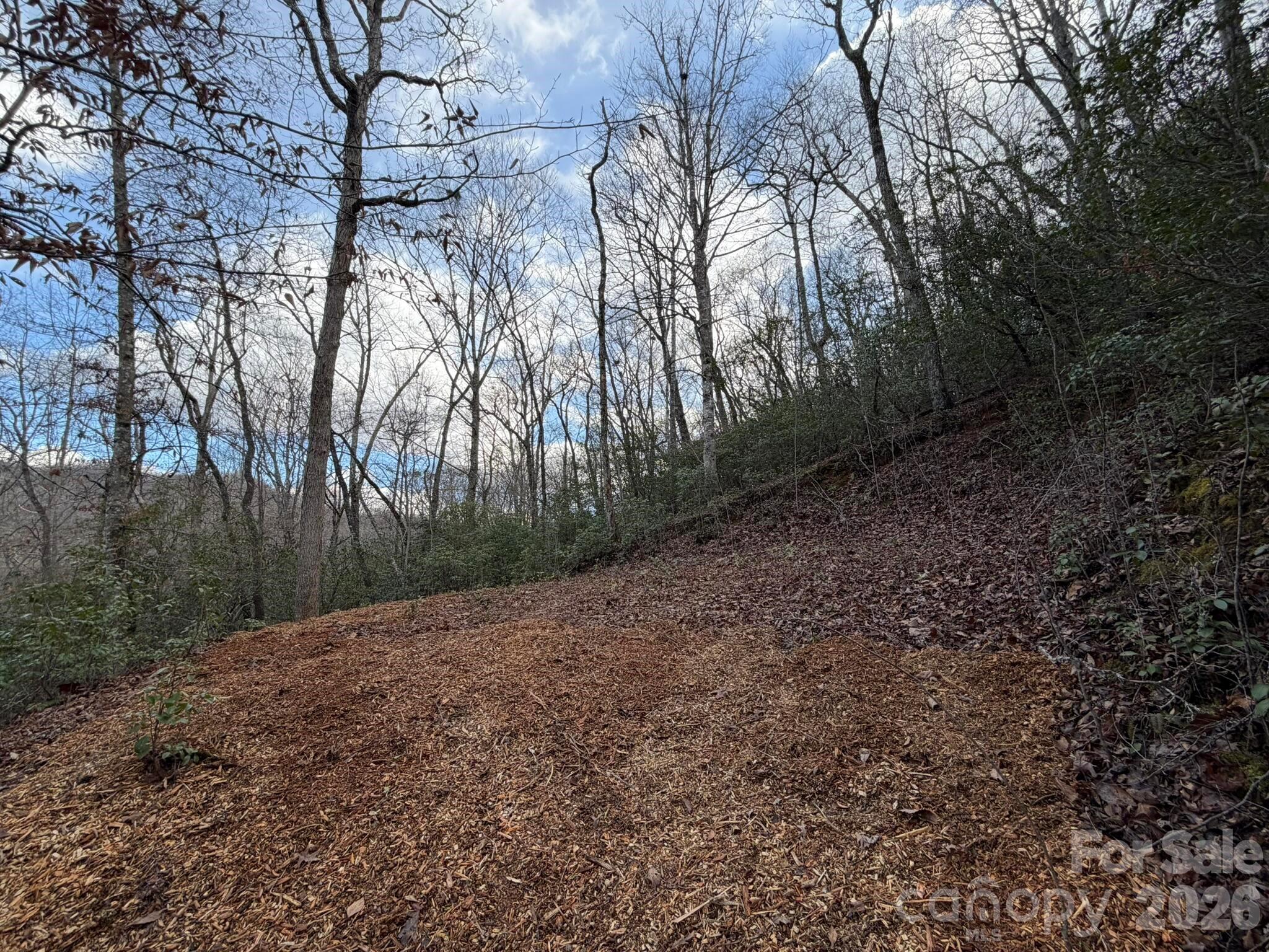 70 Crescent Ridge Drive, Unit NONE Franklin, NC 28734 - Photo 8 of 13