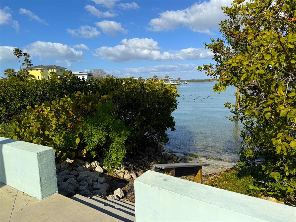 150 164th Avenue Redington Beach, FL 33708 - Photo 58 of 64 a view of a yard with plants and a fountain