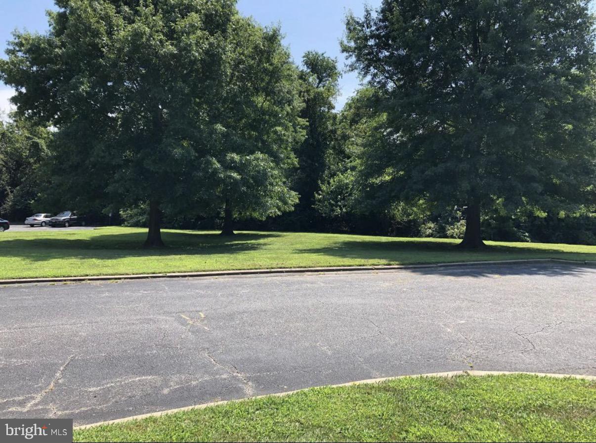 403 Winding Way Westville, NJ 08093 - Photo 11 of 16 Close to nature