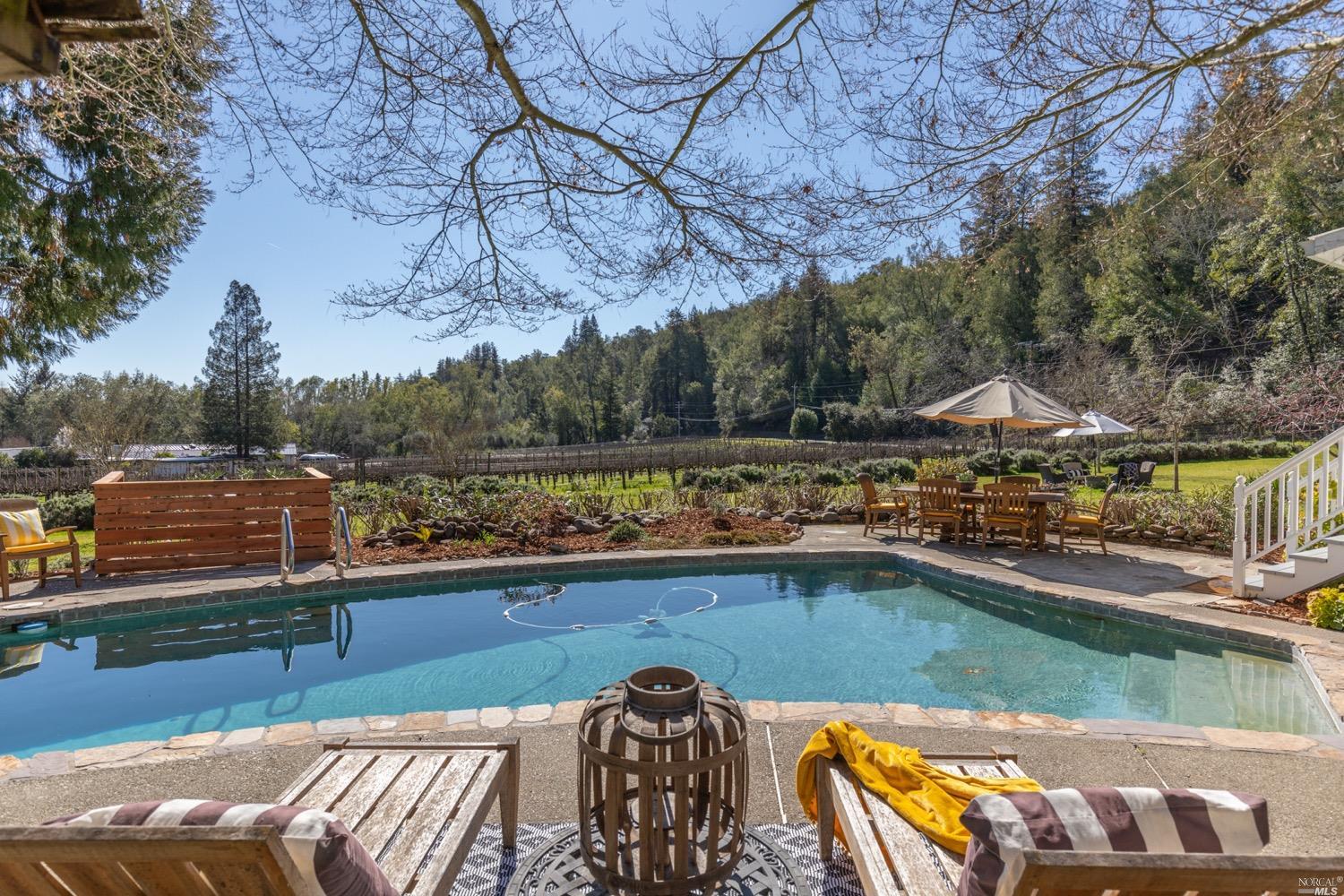3254 Redwood Road Napa, CA 94558 - Photo 1 of 1 Vineyard, Trees, and Mountain Views...all from the relaxing Pool at your Redwood Farmhouse Estate