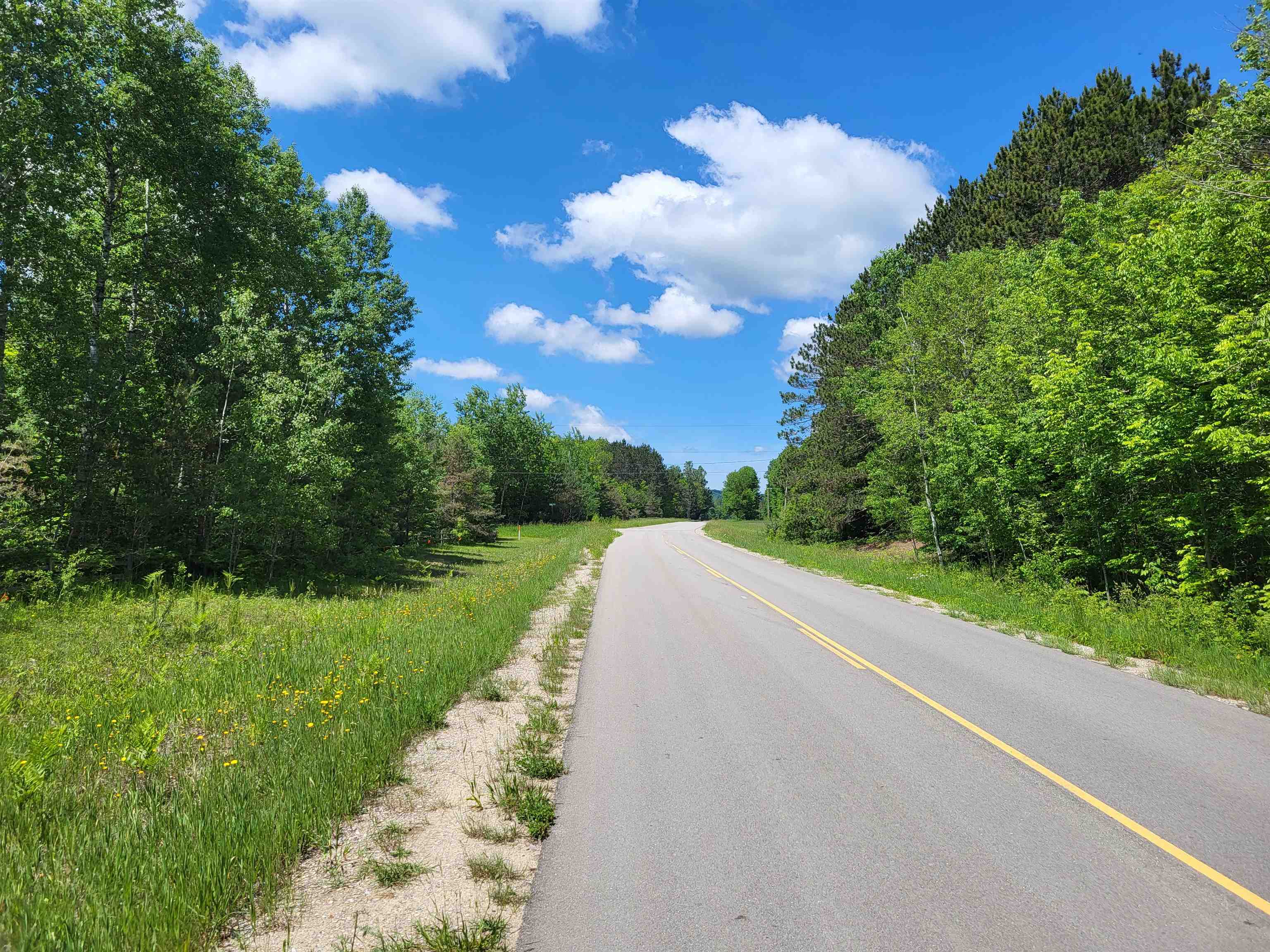 0 Springdale Road Thompsonville, MI 49683 - Photo 27 of 28