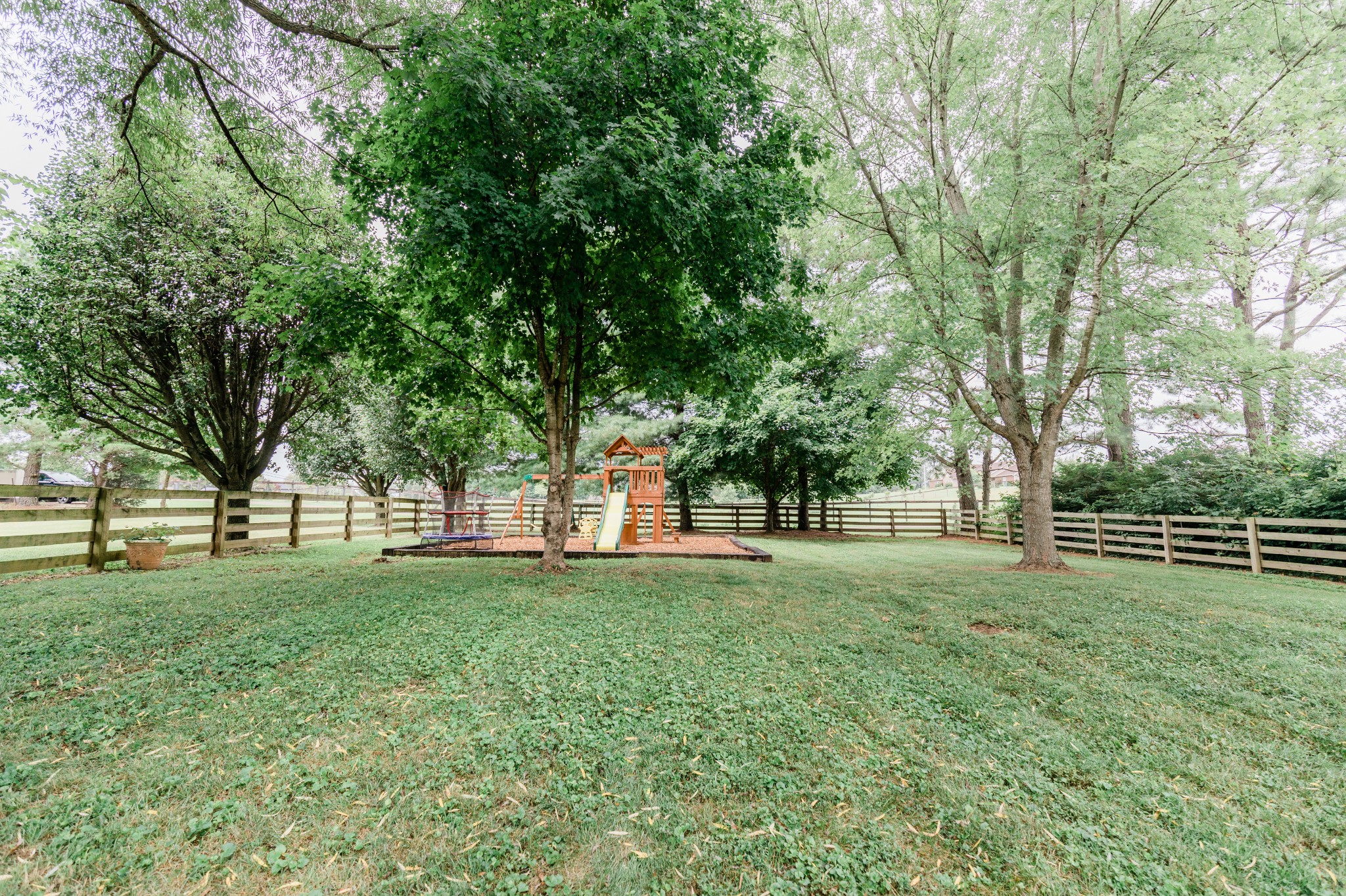2071 Bradbury Road Adams, TN 37010 - Photo 47 of 47 a view of a trees in a yard