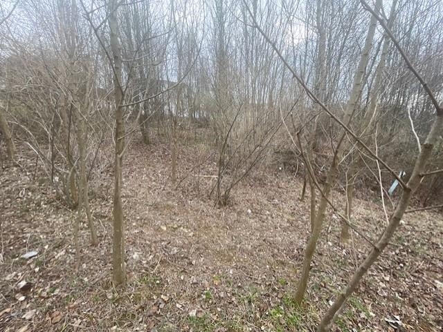 0 Long Meadow Road Fishersville, VA 22939 - Photo 10 of 12