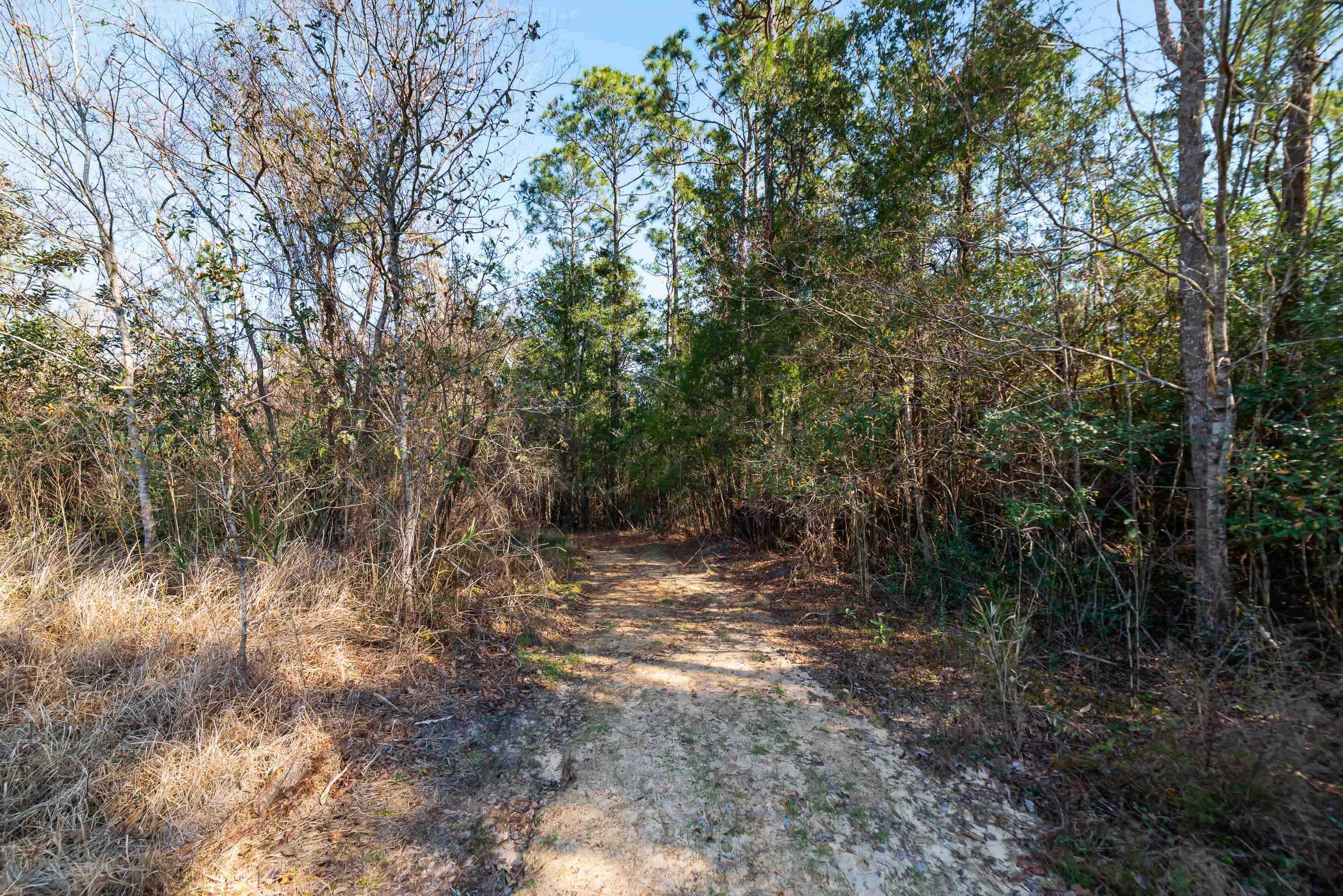 11194 County Road 83 Elberta, AL 36530 - Photo 36 of 36