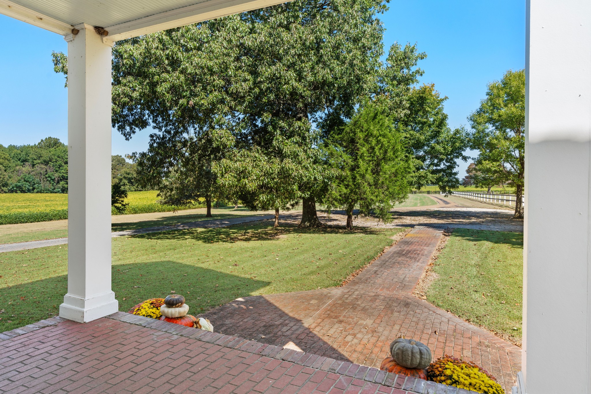 10587 Fulton Road Ripley, TN 38063 - Photo 3 of 29 a view of a garden with a lake view
