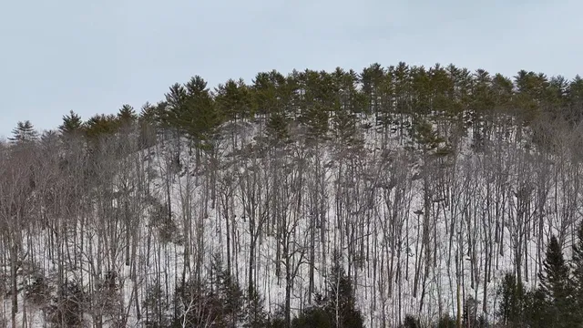 $79,000 | Lot Ii Hodge Hill Drive, Hartford, ME 04220